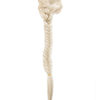 Fishtail Ponytail – D05 (Stock Clearance) While Stock lasts