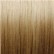 Goddess Remi Bond Tip Silky Extensions