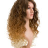 Lace Front Synthetic Full Head Wig