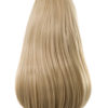 Pearl Claw Clip Reversible Ponytail – GW06