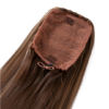 Scarlett Claw-Clip Straight Ponytail – Just Launched