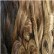 Premium Too Shorty Blended HH Bohemian Wvg