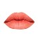 Matte Flat Finish Pigment Lip Gloss