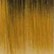 X Pression Syn 2X Pre Stretched Ultra Braid