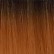 X Pression Syn Lagos Braid