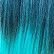 T1B/Emerald color variant