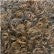 Aftress Syn Water Bulk